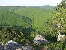 Papuk, the second highest mountain in Slavonia Papuk mt.jpg