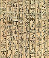 Pismo hieratyczne (kapłańskie) z Księgi Umarłych