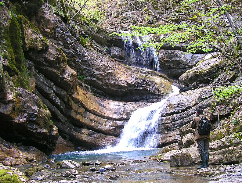 File:Pesca nel Torrente Boreca - panoramio - nardi1987.jpg