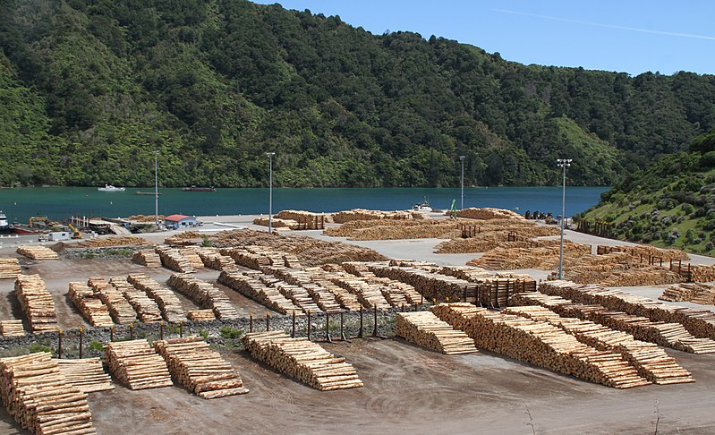 File:Picton Logs (31768455755).jpg