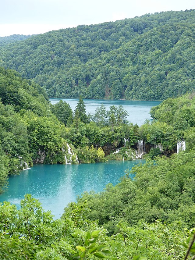 File:Plitvice_lakes_june_30_2017_-_elevated_view.jpg