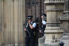 Two PaDP officers outside the Palace of Westminster in 2016 Police at Palace of Westminster.jpg