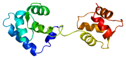 Протеин TNNC1 PDB 1aj4.png
