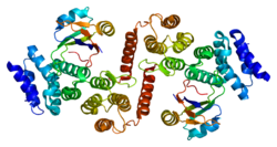 Ақуыз UPF2 PDB 1uw4.png