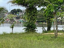 Mesurado River surrounds Providence Island. Providence Island view of downtown Monrovia.jpg