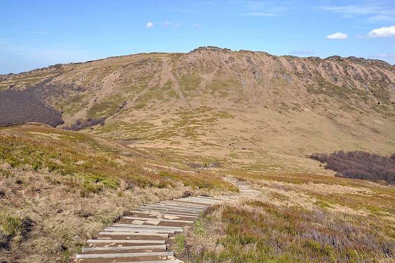 File:Przełęcz Goprowska, Bieszczady.JPG