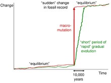 Visual illustration of stasis followed by speciation Punctuated Equilibrium.pdf