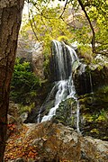 El nacimiento de Putah Creek en Cobb Mountain.