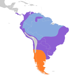 Pygochelidon cyanoleuca map.svg