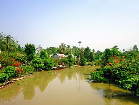 Tân Dương, Lai Vung