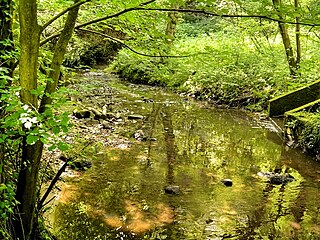 <span class="mw-page-title-main">River Chor</span> River in Lancashire, England