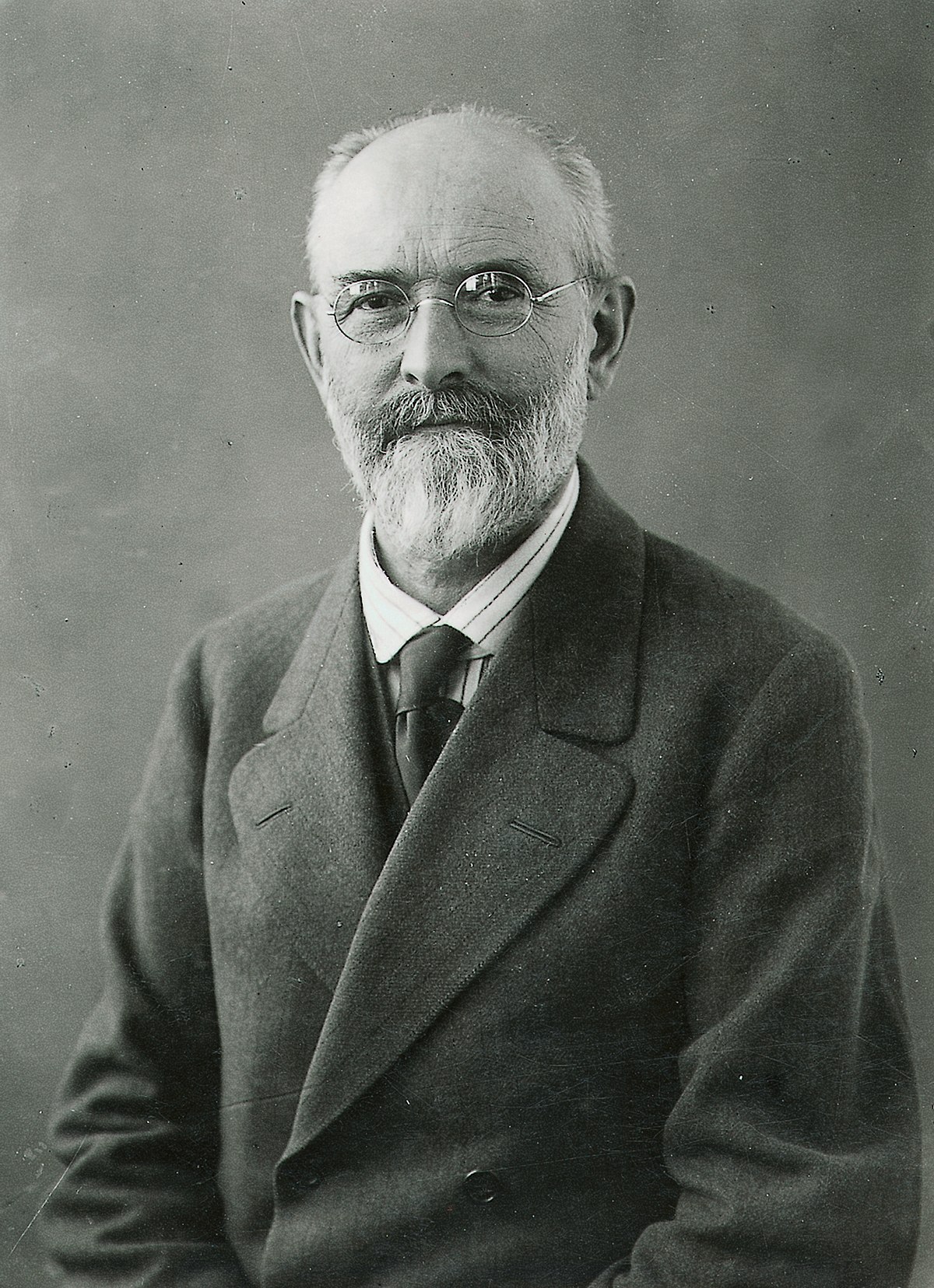 Robert Bosch Wikipedia