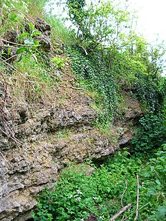 <span class="mw-page-title-main">Rock Edge</span>