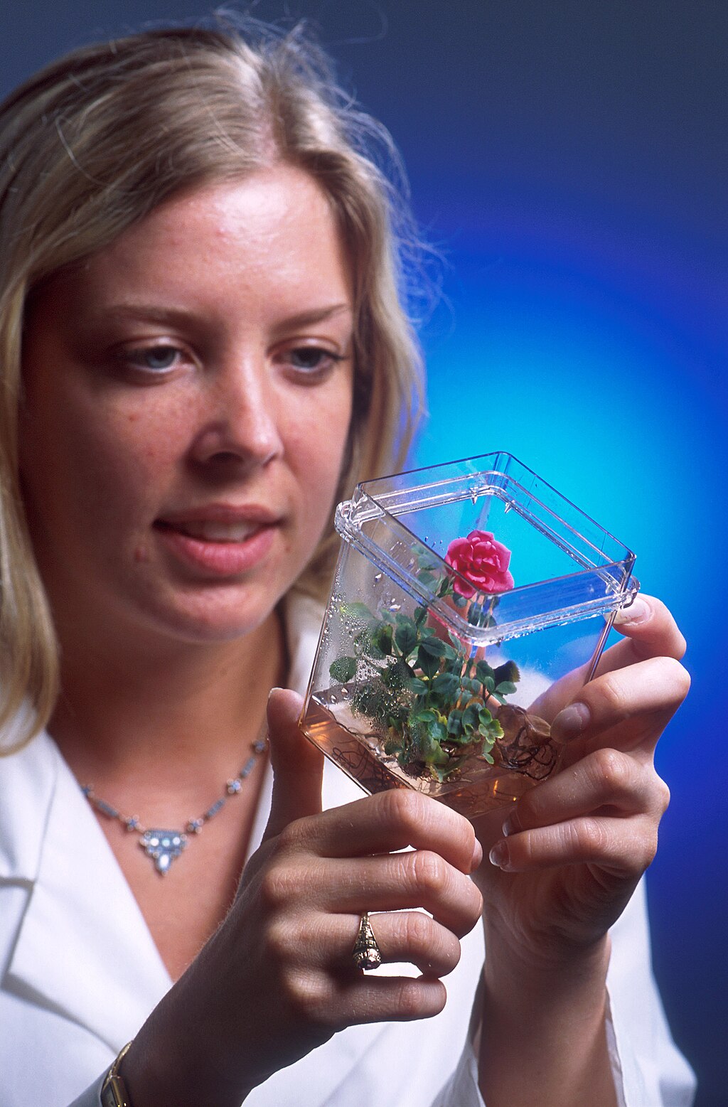 Aula toxicologia aplicada a conservação da natureza