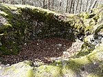 Burgruine Rotenburg