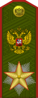 Rusland-Army-OF-10-1994-field.svg