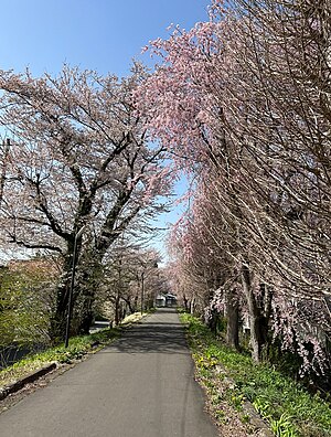 岩手大学: 概観, 沿革, 基礎データ