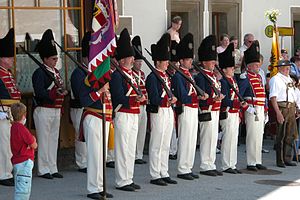 Samsonfigur: Samsonfiguren als Umzugsriesen, Die Samsonfiguren des inneralpinen Österreichs, Beschreibung der einzelnen Figuren