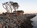 Embarcadero Marina Park North