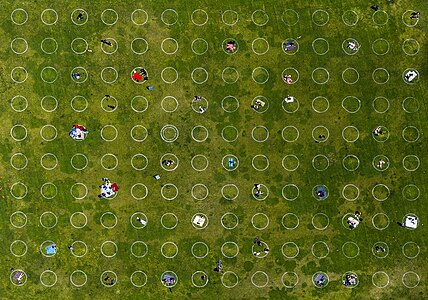 A series of white circles 10 feet (3.0 m) in diameter, spaced 8 feet (2.4 m) apart, are painted on the grass at Dolores Park in San Francisco to encourage social distancing during the COVID-19 pandemic.