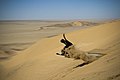 Sandboarding, Namibia (20629430364).jpg