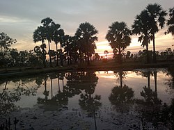 Школа (HOPLE) в Prey Veng - Panoramio (7).jpg 