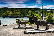 Bekende standbeelden van de labrador-retriever (links) en newfoundlander (rechts)