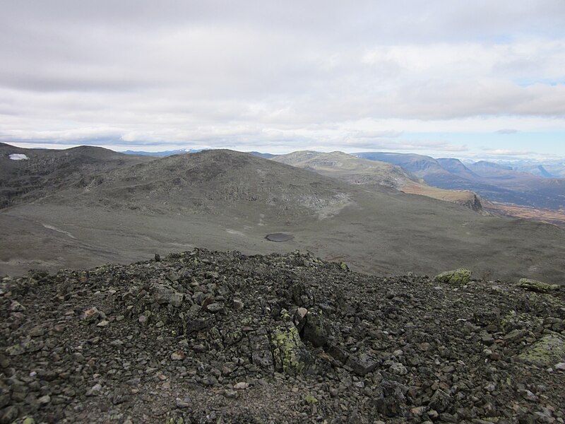 File:September2011Skogshorn 042.jpg