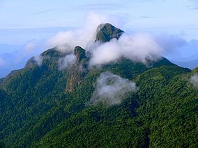 Serra da Mocidade National Park httpsuploadwikimediaorgwikipediacommonsthu