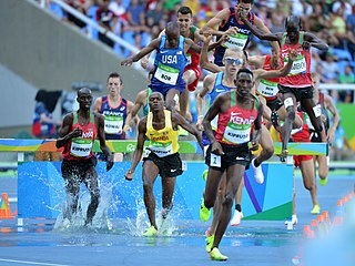 <span class="mw-page-title-main">3000 metres steeplechase</span> Most common distance for the steeplechase in track and field