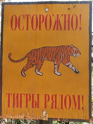 Tigri Siberian: Taksonomia, Karakteristikat, Shperndarja dhe habitati