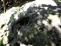 Закам’янілий відбиток лапи прадавнього хижака на кам'яній могилі
