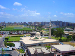Skyline of Smouha from Smouha Sporting Club