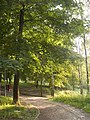 Solomianka Landscape Park 01.jpg