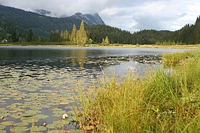 Illustrasjonsbilde av artikkelen Spechtensee