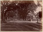 Thumbnail for File:Stamford Road, Singapore MET DP71300.jpg