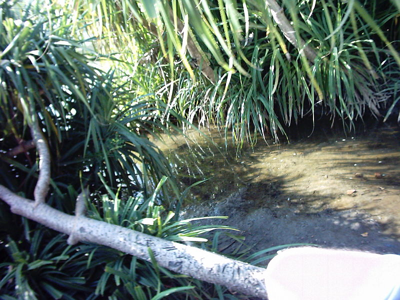 File:Stream In Saint Martin Island.JPG