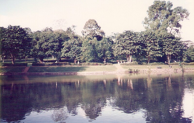 File:Swan Lake, Singapore Botanic Gardens.jpg