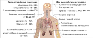 Symptoms of coronavirus disease 2019 4.0-ru.png