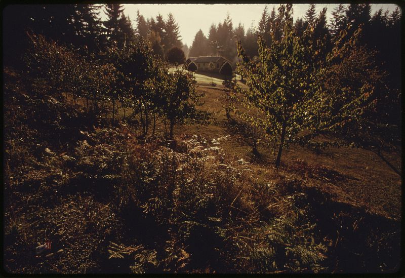 File:TYPICAL RURAL KITSAP COUNTY RESIDENCE SURROUNDED BY TREES AND VEGETATION. IT IS LIVED IN BY MARTHA TORNENSIS, ROUTE... - NARA - 557024.jpg