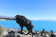 Statue of the Himalayan Tahr, introduced to New Zealand in 1904.