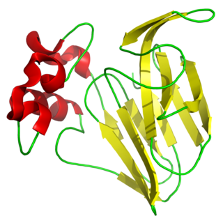 <span class="mw-page-title-main">Thaumatin</span> Low-calorie sweetener and flavor modifier