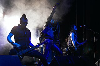 <span class="mw-page-title-main">The 69 Eyes</span> Finnish rock band