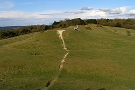 The Devil's Humps barrows on Bow Hill - geograph.org.uk - 763644.jpg