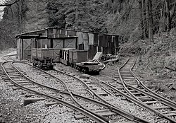 Line of the Lea Bailey Light Railway