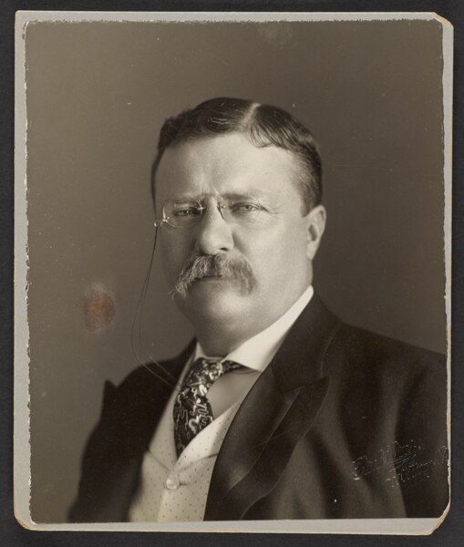 File:Theodore Roosevelt by the Pach Bros - Original.tif