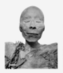 Thutmose I mummy head.png