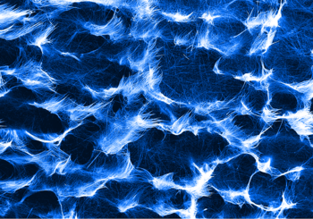 Scanning Electron Microscopy (SEM) image showing TiO2 nanowires produced by hydrothermal synthesis. M.T. Buscaglia 17.2 6.250 out of 10, SD 2.2613