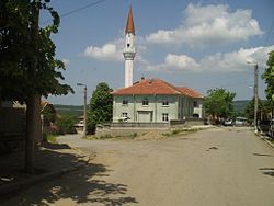 Джамията в с. Топчийско