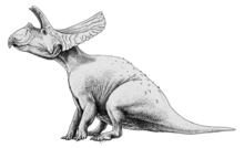 Restoration of T. latus Torosaurus life restoration.png